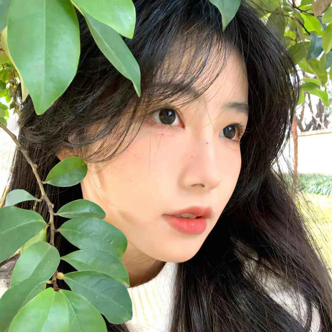 动画动漫